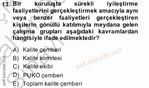 13. soru: Bir kuruluşta sürekli iyileştirme faaliyetlerini gerçekleştirmek amacıyla aynı veya benzer faaliyetleri gerçekleştire…