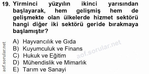 19. soru: Yirminci yüzyılın ikinci yarısından başlayarak, hem gelişmiş hem de gelişmekte olan ülkelerde hizmet sektörü hangi di…