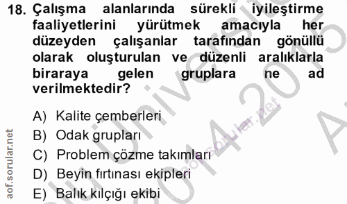 18. soru: Çalışma alanlarında sürekli iyileştirme faaliyetlerini yürütmek amacıyla her düzeyden çalışanlar tarafından gönüllü o…