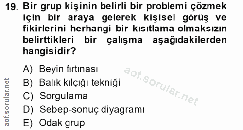 19. soru: Bir grup kişinin belirli bir problemi çözmek için bir araya gelerek kişisel görüş ve fikirlerini herhangi bir kısıtla…