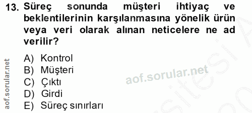 13. soru: Süreç sonunda müşteri ihtiyaç ve beklentilerinin karşılanmasına yönelik ürün veya veri olarak alınan neticelere ne ad…
