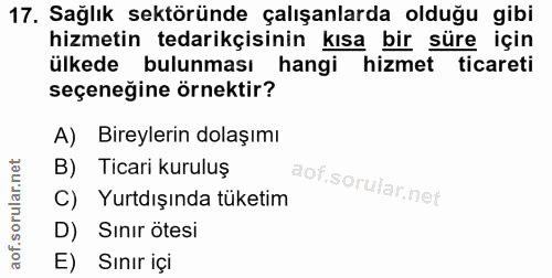 17. soru: Sağlık sektöründe çalışanlarda olduğu gibi hizmetin tedarikçisinin kısa bir süre için ülkede bulunması hangi hizmet t…