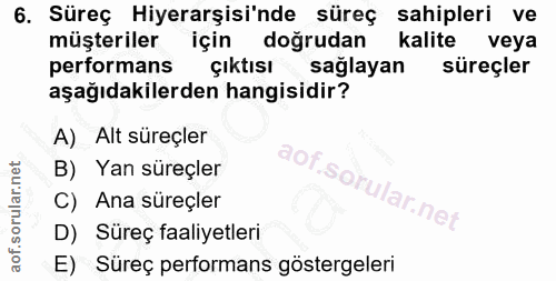 6. soru: Süreç Hiyerarşisi'nde süreç sahipleri ve müşteriler için doğrudan kalite veya performans çıktısı sağlayan süreçler aş…