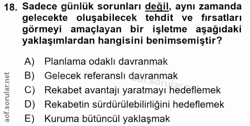 18. soru: Sadece günlük sorunları değil, aynı zamanda gelecekte oluşabilecek tehdit ve fırsatları görmeyi amaçlayan bir işletme…