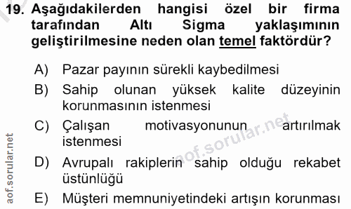19. soru: Aşağıdakilerden hangisi özel bir firma tarafından Altı Sigma yaklaşımının geliştirilmesine neden olan temel faktördür…