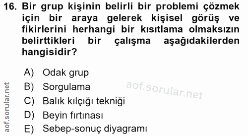 16. soru: Bir grup kişinin belirli bir problemi çözmek için bir araya gelerek kişisel görüş ve fikirlerini herhangi bir kısıtla…