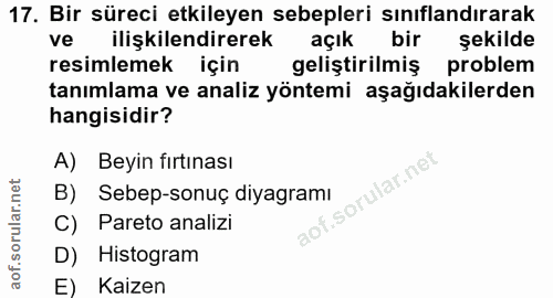 17. soru: Bir süreci etkileyen sebepleri sınıflandırarak ve ilişkilendirerek açık bir şekilde resimlemek için geliştirilmiş pro…
