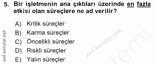 5. soru: Bir işletmenin ana çıktıları üzerinde en fazla etkisi olan süreçlere ne ad verilir? A) Kritik süreçler B) Karma süreç…