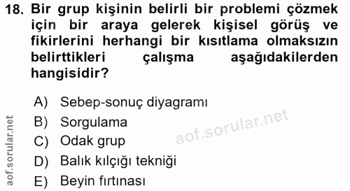 18. soru: Bir grup kişinin belirli bir problemi çözmek için bir araya gelerek kişisel görüş ve fikirlerini herhangi bir kısıtla…
