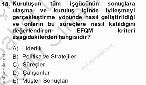 18. soru: Kuruluşun tüm işgücünün sonuçlara ulaşma ve kuruluş içinde • iyileşmeyi gerçekleştirme yönünde nasıl geliştirildiği v…