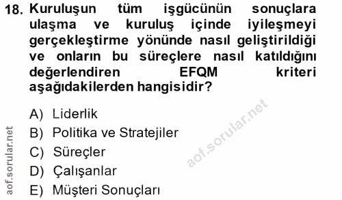 18. soru: Kuruluşun tüm işgücünün sonuçlara ulaşma ve kuruluş içinde iyileşmeyi gerçekleştirme yönünde nasıl geliştirildiği ve…