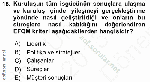 18. soru: Kuruluşun tüm işgücünün sonuçlara ulaşma ve kuruluş içinde iyileşmeyi gerçekleştirme yönünde nasıl geliştirildiği ve…