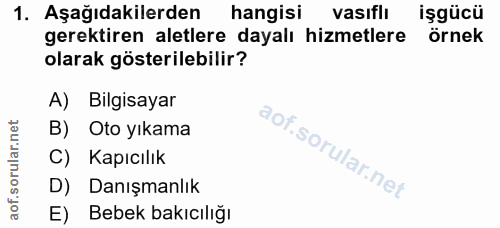 1. soru: Aşağıdakilerden hangisi vasıflı işgücü gerektiren aletlere dayalı hizmetlere örnek olarak gösterilebilir? A) Bilgisay…