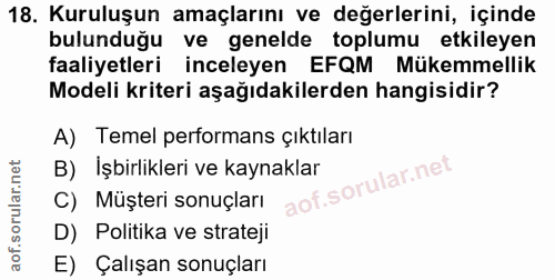 18. soru: Kuruluşun amaçlarını ve değerlerini, içinde bulunduğu ve genelde toplumu etkileyen faaliyetleri inceleyen EFQM Mükemm…