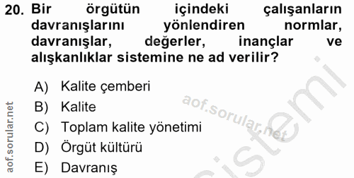 20. soru: Bir örgütün içindeki çalışanların davranışlarını yönlendiren normlar, davranışlar, değerler, inançlar ve alışkanlıkla…