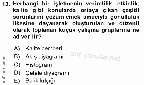 12. soru: Herhangi bir işletmenin verimlilik, etkinlik, kalite gibi konularda ortaya çıkan çeşitli sorunlarını çözümlemek amacı…