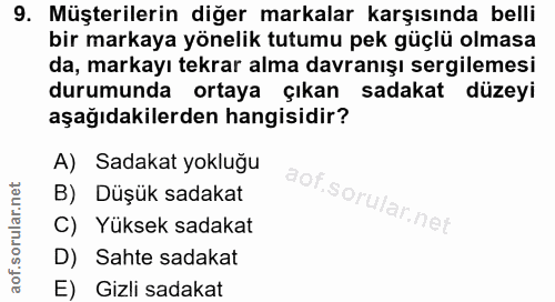9. soru: Müşterilerin diğer markalar karşısında belli bir markaya yönelik tutumu pek güçlü olmasa da, markayı tekrar alma davr…