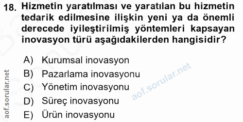 18. soru: Hizmetin yaratılması ve yaratılan bu hizmetin tedarik edilmesine ilişkin yeni ya da önemli derecede iyileştirilmiş yö…
