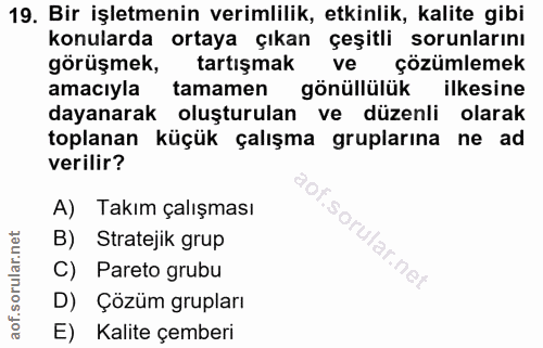 19. soru: Bir işletmenin verimlilik, etkinlik, kalite gibi konularda ortaya çıkan çeşitli sorunlarını görüşmek, tartışmak ve çö…