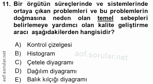 11. soru: Bir örgütün süreçlerinde ve sistemlerinde ortaya çıkan problemleri ve bu problemlerin doğmasına neden olan temel sebe…