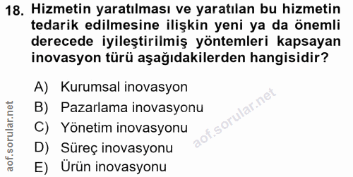 18. soru: Hizmetin yaratılması ve yaratılan bu hizmetin tedarik edilmesine ilişkin yeni ya da önemli derecede iyileştirilmiş yö…