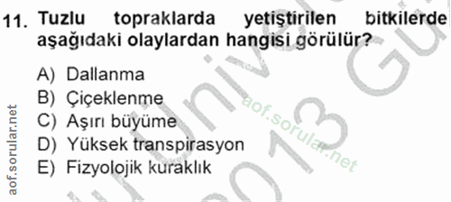11. soru: Tuzlu topraklarda yetiştirilen bitkilerde aşağıdaki olaylardan hangisi görülür? A) Dallanma B) Çiçeklenme C) Aşırı bü…