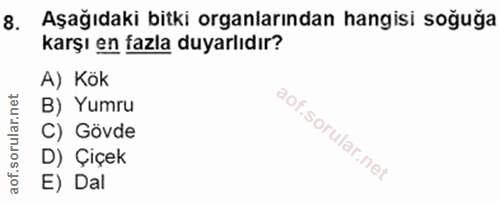 8. soru: Aşağıdaki bitki organlarından hangisi soğuğa karşı en fazla duyarlıdır? A) Kök B) Yumru C) Gövde D) Çiçek E) Dal