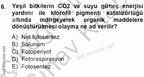 6. soru: Yeşil bitkilerin CO2 ve suyu güneş enerjisi yardımı ile klorofil pigmenti katalizörlüğü altında indirgeyerek organik…