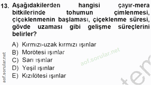 13. soru: Aşağıdakilerden hangisı çayır-mera bitkilerinde tohumun Çimlenmesi, çiçeklenmenin başlaması, çiçeklenme süresi, gövde…
