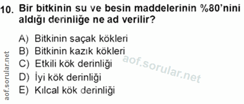 10. soru: Bir bitkinin su ve besin maddelerinin %80'nini aldığı derinliğe ne ad verilir? A) Bitkinin saçak kökleri B) Bitkinin…