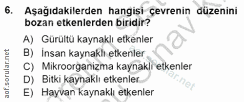 6. soru: Aşağıdakilerden hangisi çevrenin düzenini bozan etkenlerden biridir? A) Gürültü kaynaklı etkenler B) İnsan kaynaklı e…