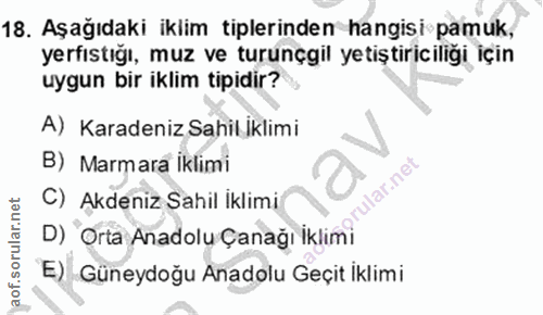 18. soru: Aşağıdaki iklim tiplerinden hangisi pamuk, yerfıstığı, muz ve turunçgil yetiştiriciliği için uygun bir iklim tipidir?…