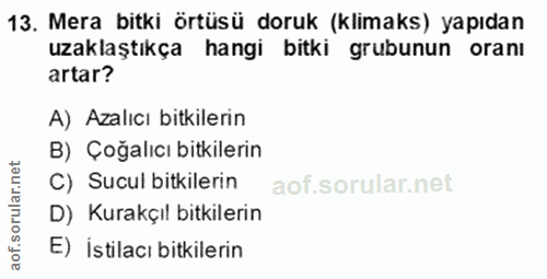 13. soru: Mera bitki örtüsü doruk (klimaks) yapıdan uzaklaştıkça hangi bitki grubunun oranı artar? A) Azalıcı bitkilerin B) Çoğ…