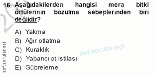 16. soru: Aşağıdakilerden hangisi mera bitki örtülerinin bozulma sebeplerinden biri değildir? A) Yakma B) Ağır otlatma C) Kurak…