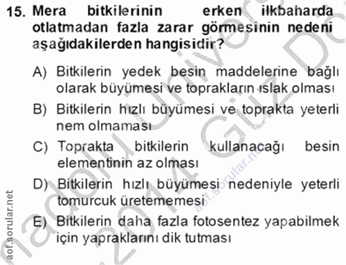 15. soru: Mera bitkilerinin erken ilkbaharda otlatmadan fazla zarar görmesinin nedeni aşağıdakilerden hangisidir? A) Bitkilerin…