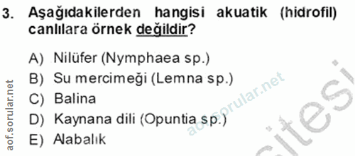 3. soru: Aşağıdakilerden hangisi akuatik (hidrofil) canlılara örnek değildir? A) Nilüfer (Nymphaea sp.) B) Su mercimeği (Lemna…