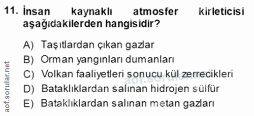 11. soru: Insan kaynaklı atmosfer kirleticisi aşağıdakilerden hangisidir? A) Taşıtlardan çıkan gazlar B) Orman yangınları duman…