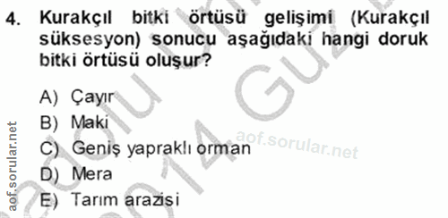 4. soru: Kurakçıl bitki örtüsü gelişimi (Kurakçıl süksesyon) sonucu aşağıdaki hangi doruk bitki örtüsü oluşur? A) Çayır B) Mak…