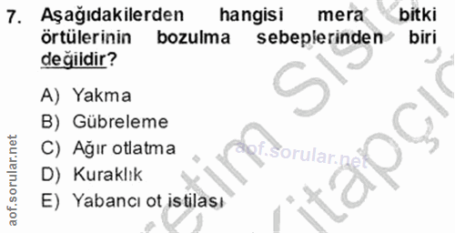 7. soru: Aşağıdakilerden hangisi mera bitki örtülerinin bozulma sebeplerinden biri değildir? A) Yakma B) Gübreleme C) Ağır otl…
