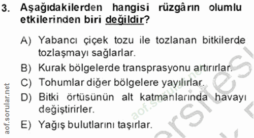3. soru: Aşağıdakilerden hangisi rüzgârın olumlu etkilerinden biri değildir? A) Yabancı çiçek tozu ile tozlanan bitkilerde toz…