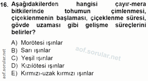 16. soru: Aşağıdakilerden hangisi çayır-mera bitkilerinde tohumun çimlenmesi, çiçeklenmenin başlaması, çiçeklenme süresi, gövde…