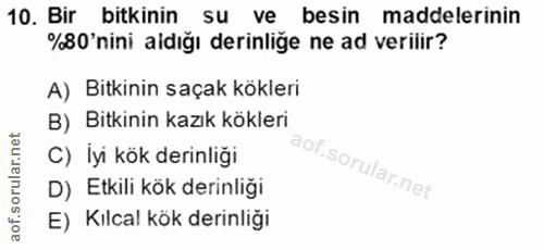 10. soru: Bir bitkinin su ve besin maddelerinin %80'nini aidığı derinliğe ne ad verilir? A) Bitkinin saçak kökleri B) Bitkinin…