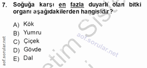 7. soru: Soğuğa karşı en fazla duyarlı olan bitki organı aşağıdakilerden hangisidir? A) Kök B) Yumru aof C) Çiçek D) Gövde TIN…