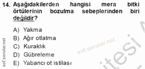 14. soru: Aşağıdakilerden hangisi mera bitki örtülerinin bozulma sebeplerinden biri değildir? A) Yakma B) Ağır otlatma C) Kurak…