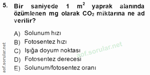 5. soru: Bir saniyede 1 m? yaprak alanında özümlenen mg olarak CO2 miktarina ne ad verilir? A) Solunum hizı B) Fotosentez hızı…