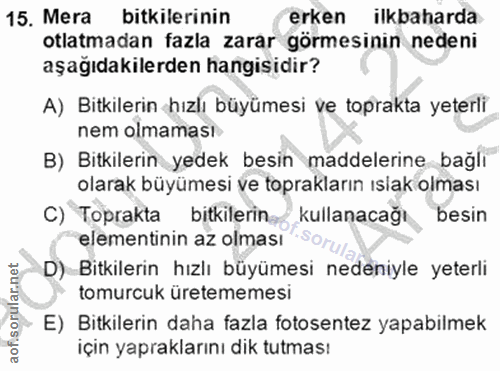 15. soru: Mera bitkilerinin erken ilkbaharda otlatmadan fazla zarar görmesinin nedeni aşağıdakilerden hangisidir? A) Bitkilerin…