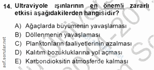 14. soru: Ultraviyole ışınlarının en önemli zararlı etkisi aşağıdakilerden hangisidir? A) Ağaçlarda büyümenin yavaşlaması B) Dö…