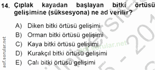 14. soru: Çıplak kayadan başlayan bitki örtüsü gelişimine (süksesyona) ne ad verilir? A) Diken bitki örtüsü gelişimi B) Orman b…