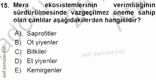 15. soru: Mera ekosistemlerinin verimliliğinin sürdürülmesinde vazgeçilmez öneme sahip olan canlılar aşağıdakilerden hangisidir…