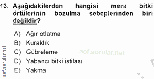 13. soru: Aşağıdakilerden hangisi mera bitki örtülerinin bozulma sebeplerinden biri değildir? A) Ağır otlatma B) Kuraklık C) Gü…